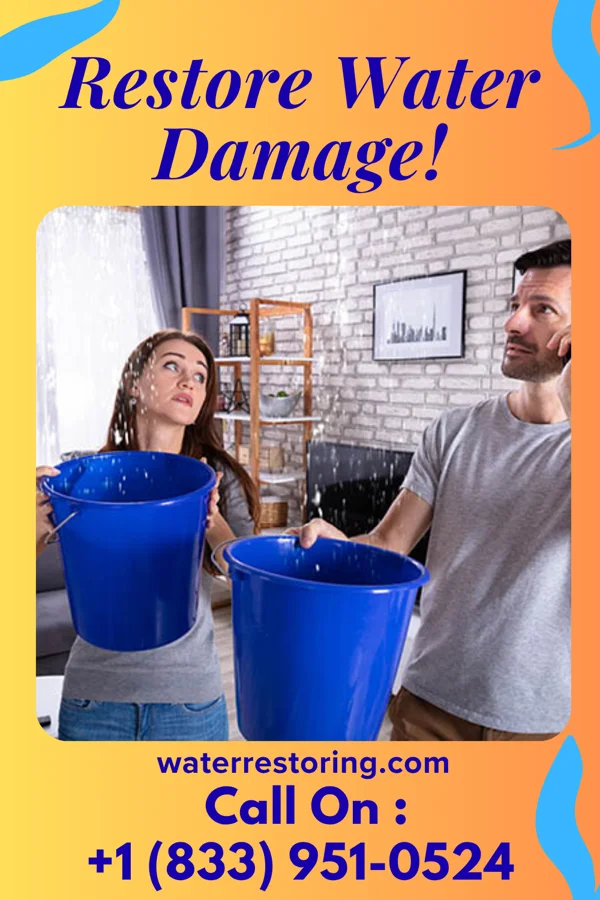 water restoration Titan Sewage Cleanup Brothers Sageville