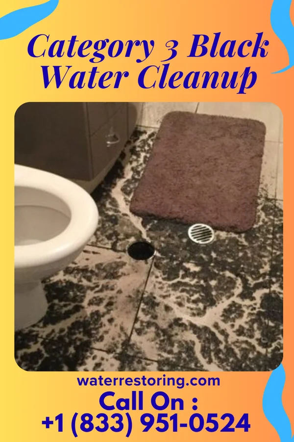Category 3 Black Water Cleanup in Sageville, IA
