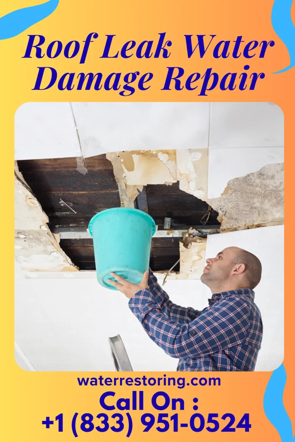 Roof Leak Water Damage Repair in Sageville, IA