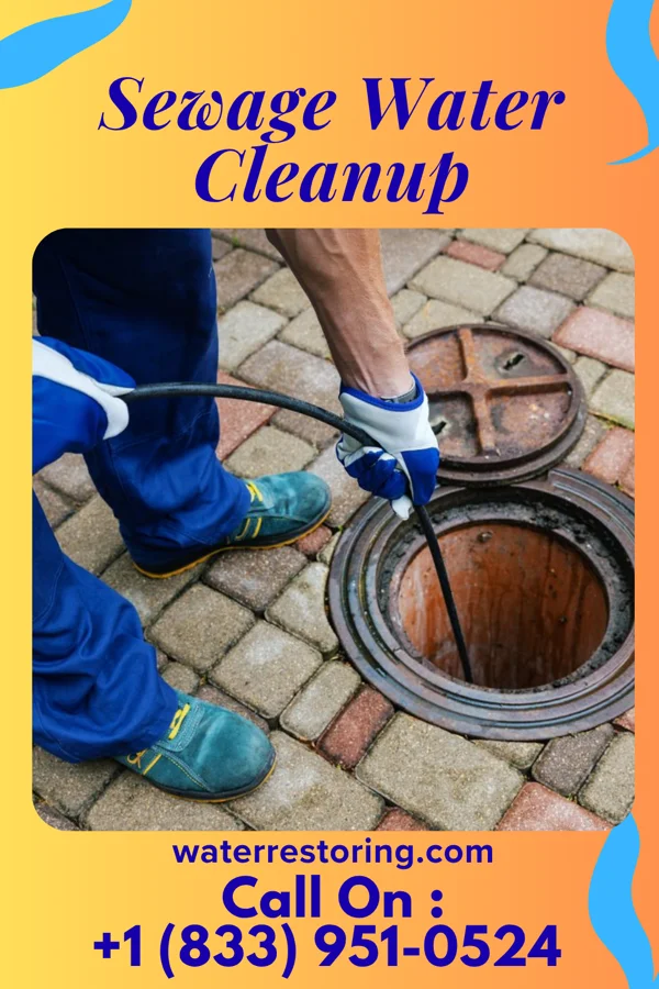Sewage Water Cleanup in Sageville, IA